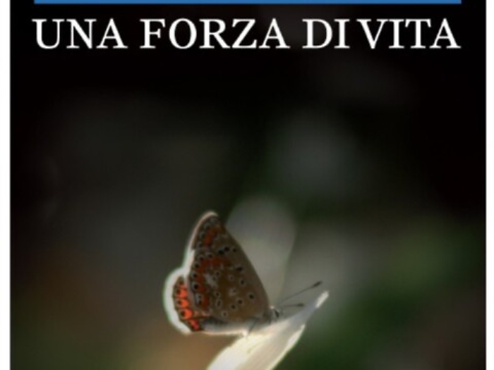 Il mondo di Laura e il coraggio di vivere