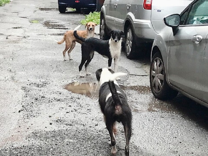 GN4_DAT_8923703_1618515207823-1