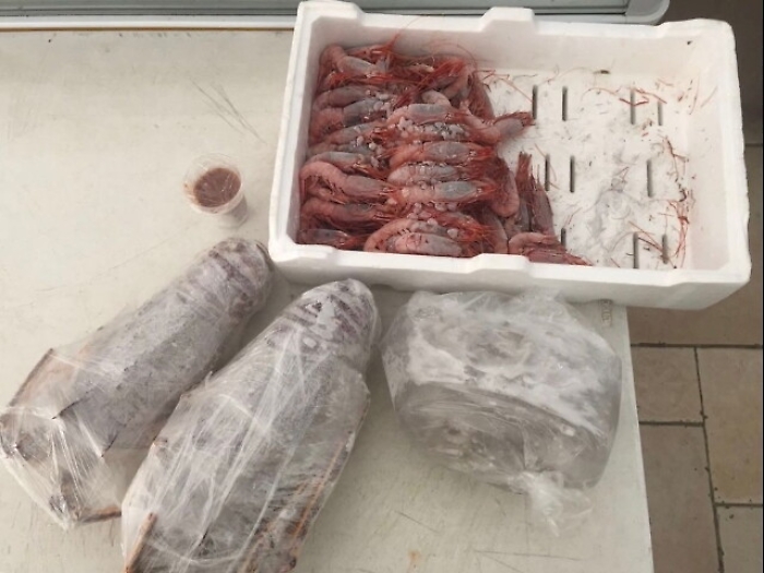 Sequestrate 2 tonnellate di pesce