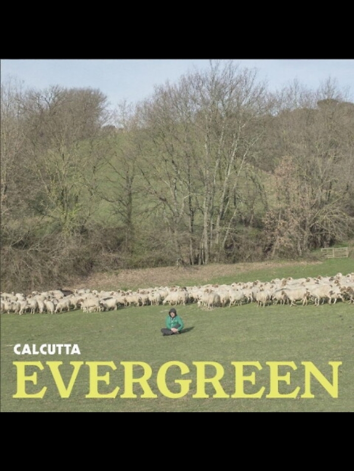 Hit parade, top Calcutta e Shawn Mendes