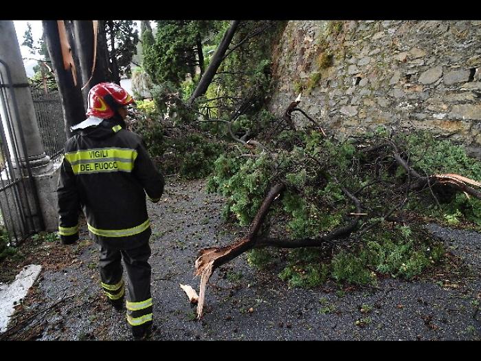 Maltempo, tromba d'aria nel Mantovano