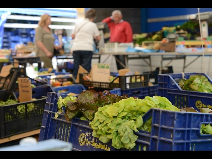Un topo nell'insalata in busta
