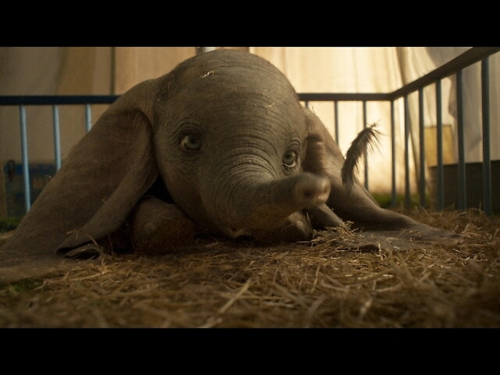 Cinemadays,1 milione 227 mila spettatori