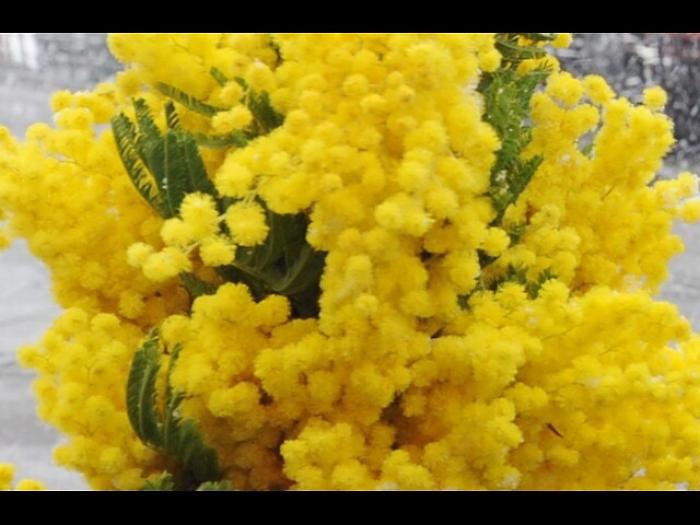 Stop sessismo, tornano 'Immagini amiche'