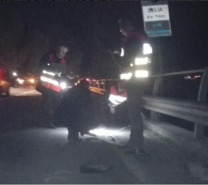 "Franco l'onorevole" travolto e ucciso mentre faceva l'autostop