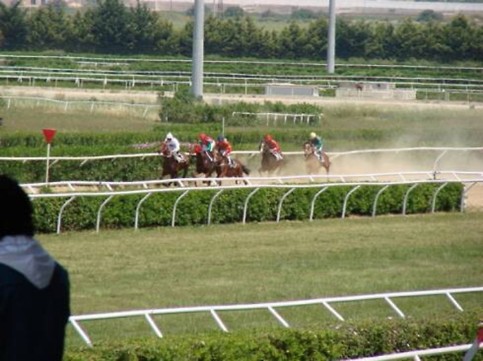 Protestano lavoratori ippodromo Palermo