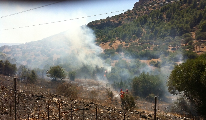 Incendio "intacca" vasta area a Montelepre