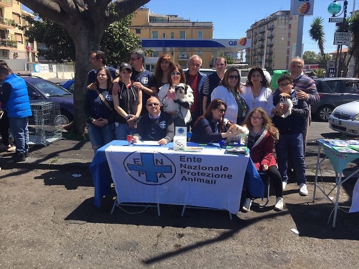 Catania,  40 microchip gratuiti in Piazza Eroi d'Ungheria