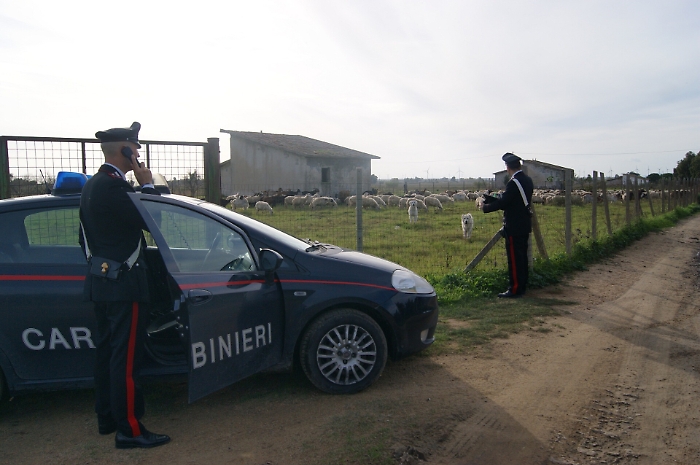 Droga e furti di bestiame: il patto tra clan siciliani e 'ndrine calabresi: 19 arresti