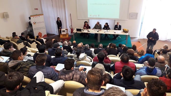 Torna il Social Farming, quando l'agrumicoltura pu&ograve; dare un lavoro