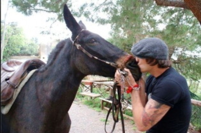 Da Punta Secca a Castel di Tusa sul dorso di un mulo