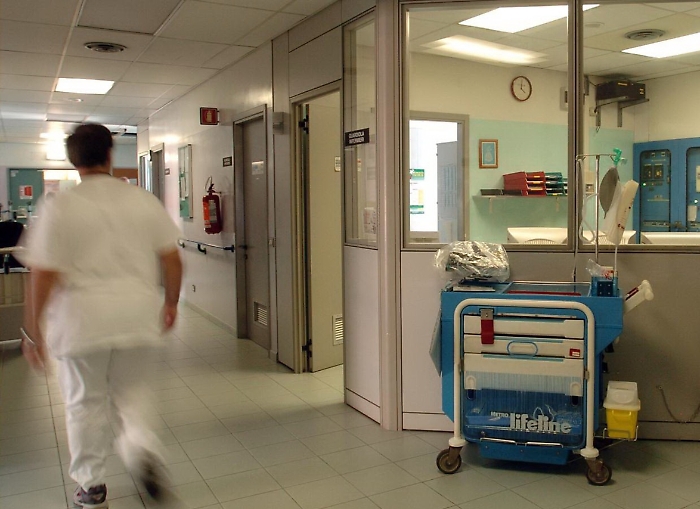 1528900278262_1618606371864-1