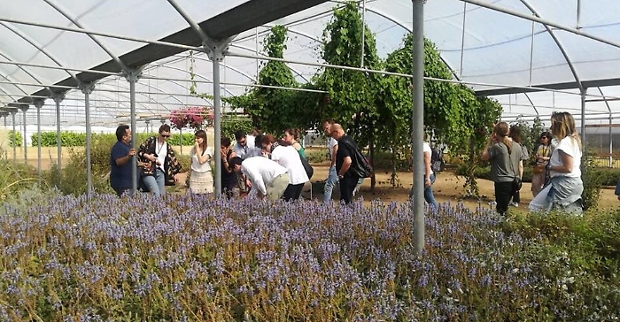 Il turismo aromatico "sboccia" in Sicilia: 9 mila visite l'anno in vivaio di Scicli