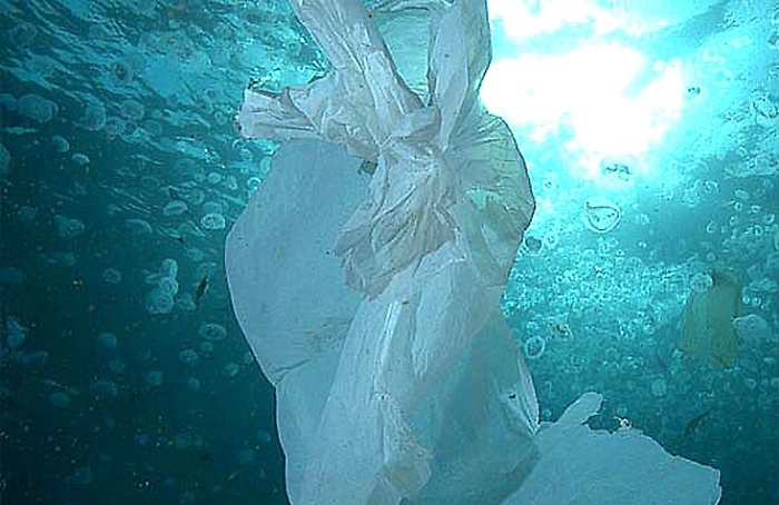 Ambiente, a Lampedusa e Linosa vietati sacchetti e stoviglie di plastica