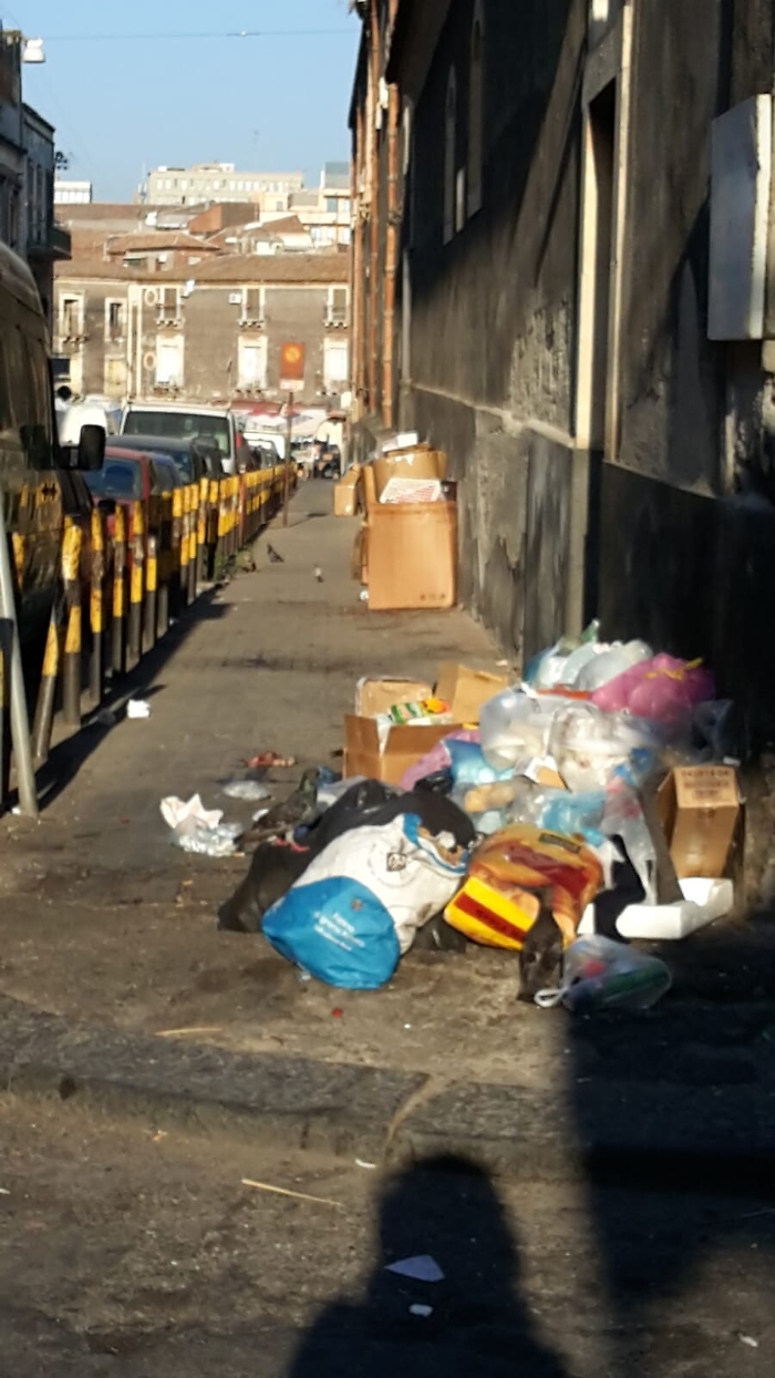 Catania: "Paghiamo carissima spazzatura e questo &egrave; il risultato!"