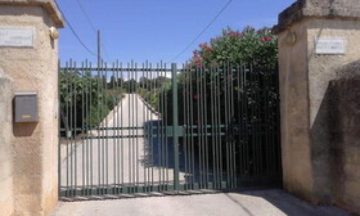 L'olio di Marsala venduto a Londra a 50 euro al litro