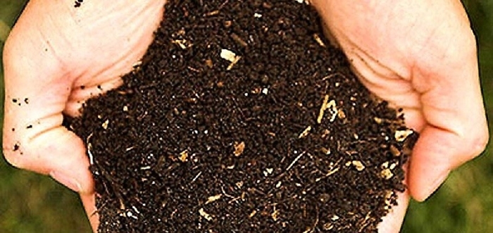 Rifiuti, Musumeci: &laquo;Sicilia prima Regione in Italia per regole di compostaggio&raquo;