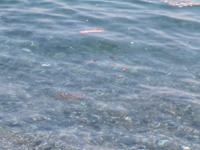 Marina di Cottone: mare pieno di liquami