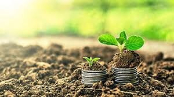 Dissesto suolo, alla Sicilia arrivano  cinque mln da ministero Ambiente