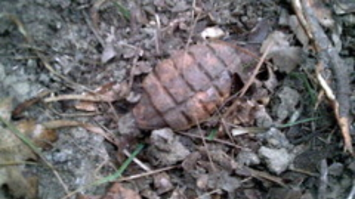 Palermo, una bomba a mano gettata tra i rifiuti: arrivano gli artificieri