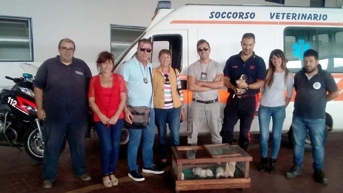 Abbandonato sotto il ponte di Primosole, carabinieri salvano cinque cuccioli