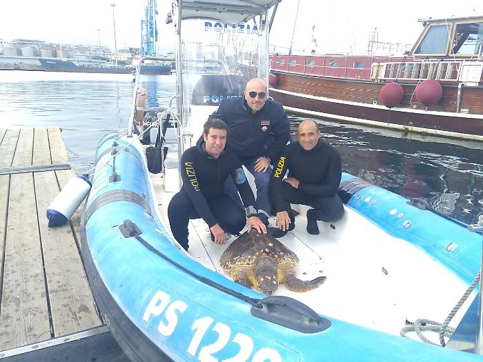 Palermo, Polizia salva una tartaruga Caretta Caretta