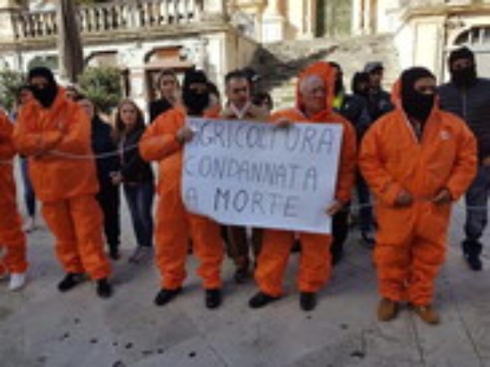 Ragusa, azienda agricola all'asta: lavoratori protestano