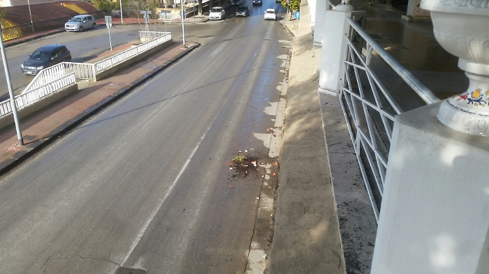 Ignoti vandali tornano ad accanirsi contro i vasi