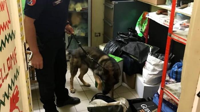 Affittavano b&amp;b per spacciare, lo stratagemma della gang del Calatino