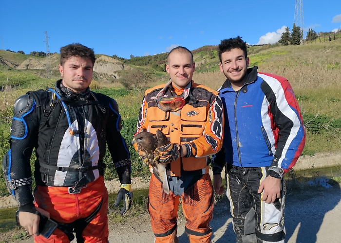 Ribera, salvata poiana da sicura morte