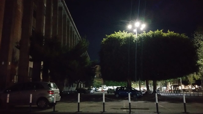 Catania: Piazza Verga: evidentemente  gli alberi hanno bisogno di molta luce