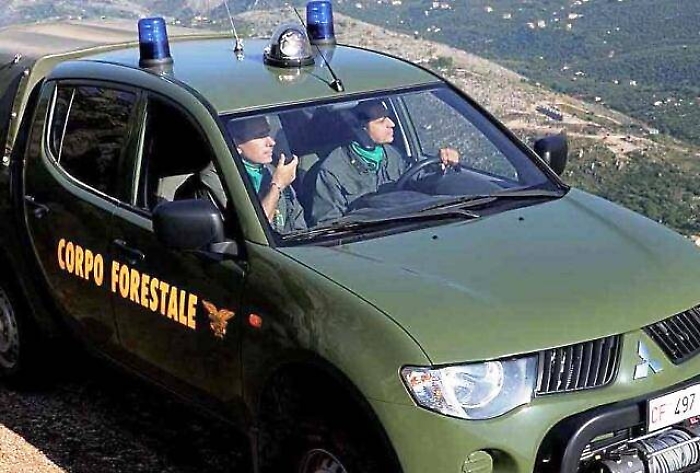 Anziano trovato senza vita in un terreno: disposta autopsia