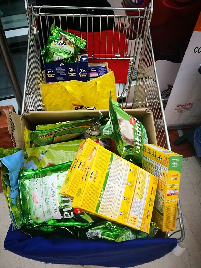 Catania, accordo Leidaa e Lidl: 95 quintali di crocchette per i randagi