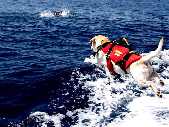 Alcamo, bagnante in difficolt&agrave;salvato da un cane bagnino