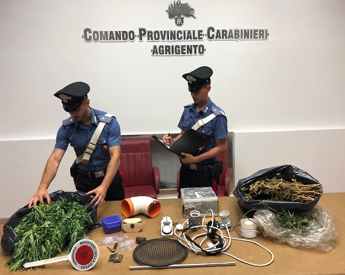 Marijuana fai da te: arrestato un agrigentino.