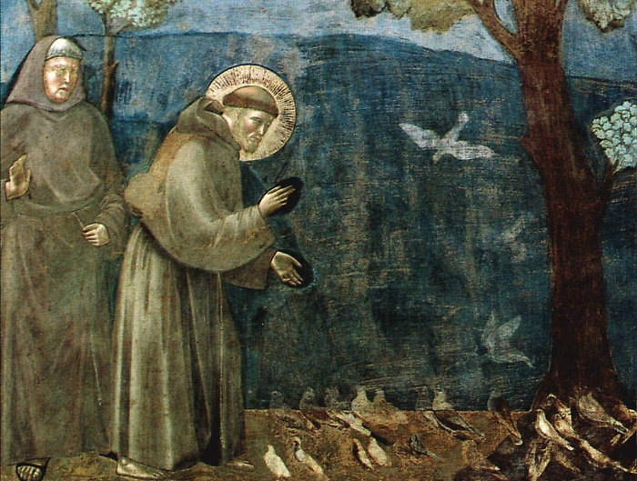 Oggi &egrave; San Francesco d'Assisi Perch&eacute; si benedicono gli animali?
