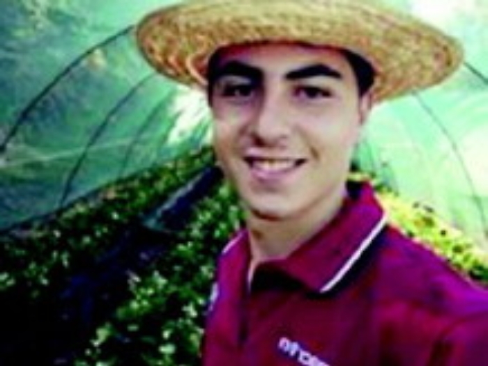 Nel campo di fragole per coltivare il sogno di pap&agrave;