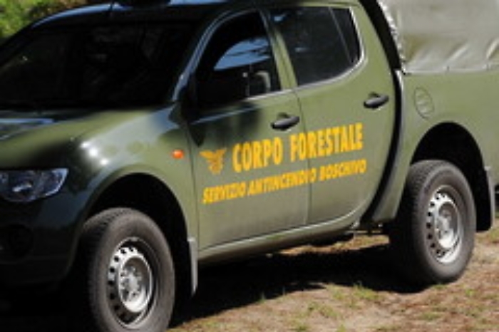 Sicilia, Ars sblocca concorsi per i forestali: approvata legge di riforma