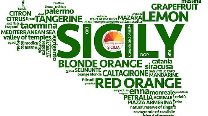 Sicilia, finalmente riconosciuti  i tredici distretti produttivi