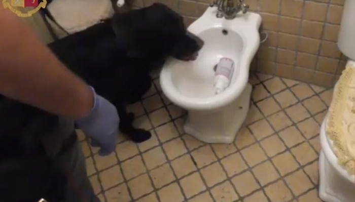 Lentini, pistola sotto il bidet e cartucce interrate: arrestata una donna