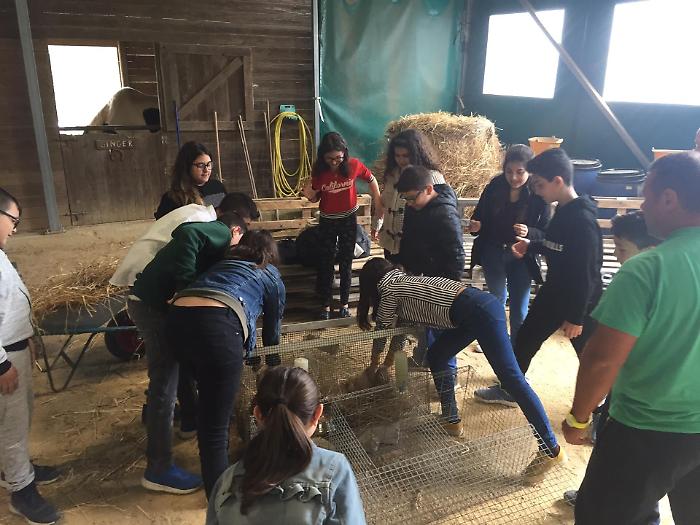 &ldquo;Costruisco la mia fattoria&rdquo;, a Enna un laboratorio ambientale per ragazzi nell'ambito del progetto &ldquo;Costruiamo il futuro&rdquo;