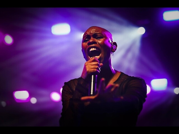 Skunk Anansie e Weezer a Bologna