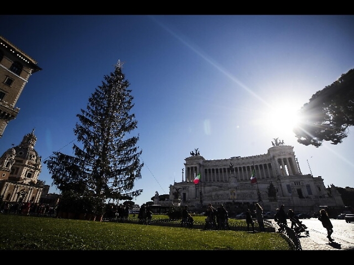 Una seconda vita per 'Spelacchio'