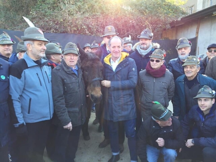 Morto 'Iroso', l'ultimo mulo alpino