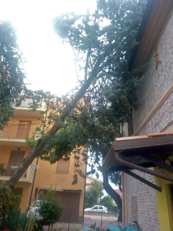 Maltempo, pioggia e vento sulle Marche