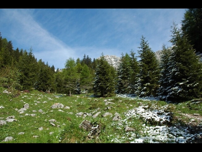 Cerca funghi e cade in dirupo a Primiero