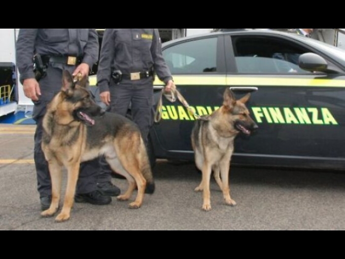 Timbravano e andavano via, denunciati