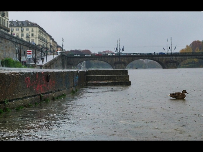 Po sale 1mt, allarme Coldiretti