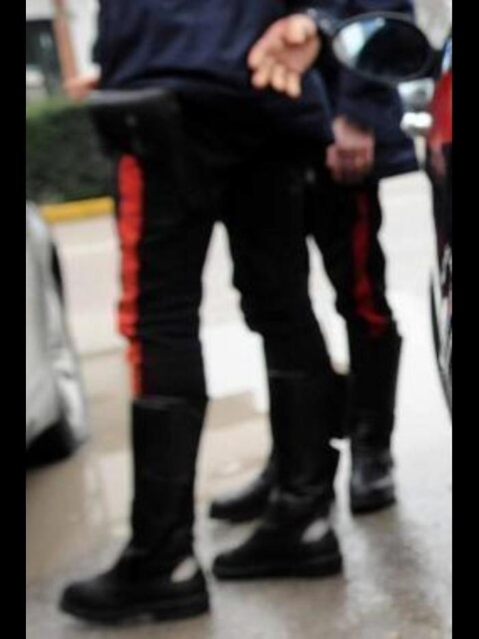 Polpette avvelenate fanno strage di cani