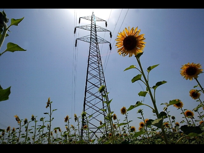 Enel: linea credito per sostenibilit&agrave;